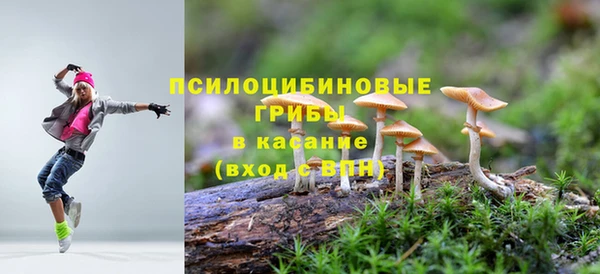 дурь Карталы