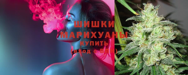 spice Карпинск