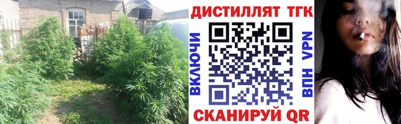 ТГК вейп  Купить где  Кодинск 