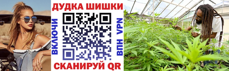 Купить закладки  Кодинск  Каннабис сатива 